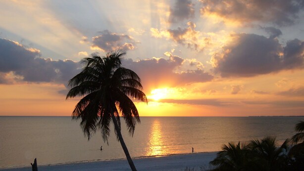 A sunset over a beach with palm trees and a clear sky. - Estero Sands Condo with 2 bedrooms and 2 baths (Fort Myers Beach)