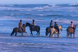 Eine Gruppe von Reitern an einem Strand, im Hintergrund sind Wellen zu sehen.