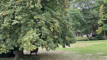 Enceinte de lâhĂ©bergement