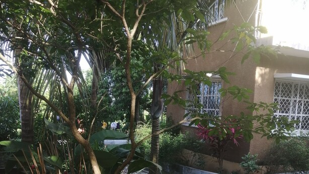 Villa Luxury, vista oceano parziale, lato giardino | Vista dalla camera