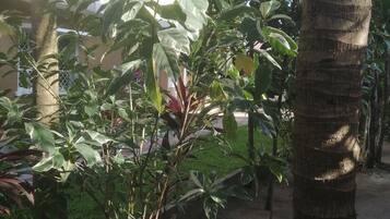 Luxury Villa, Partial Ocean View, Garden Area | Living area | Flat-screen TV