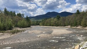 A river with a rocky bed, surrounded by dense forest and mountains in the background.
