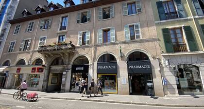 🎖 Charmant T2 refait à neuf, Annecy centre et lac.