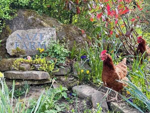 Property grounds - Willow Cottage at Naze Farm-UK32760 (Chinley)