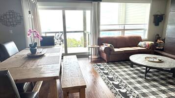 Smart TV, fireplace, books