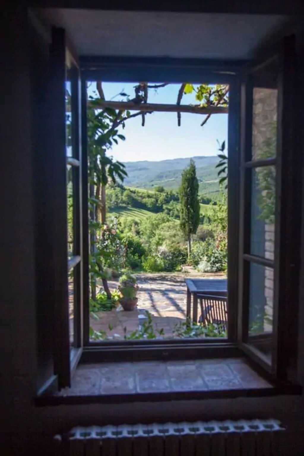view from Mimosa's window
