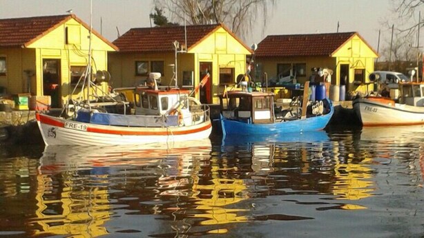 Une rangée de bateaux est amarrée dans une marina, avec des bâtiments jaunes en arrière-plan.
