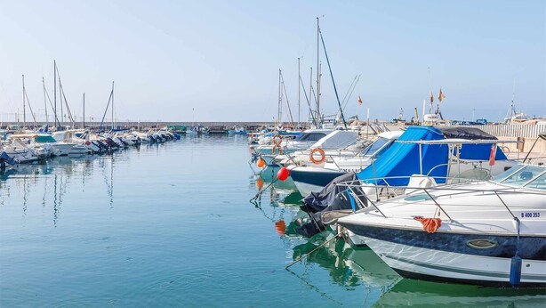 Ein Yachthafen mit mehreren Booten, die in ruhigem Wasser liegen.
