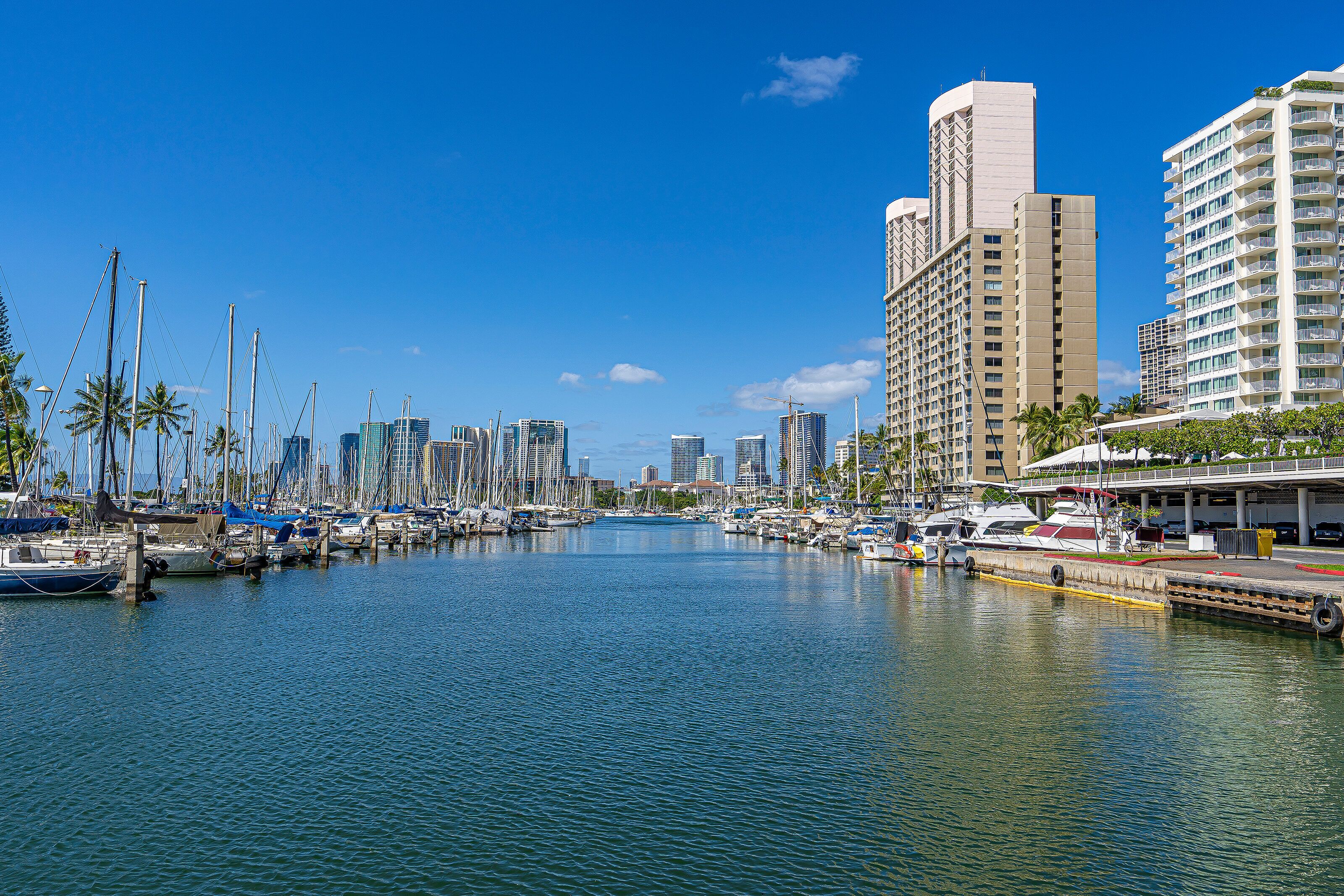 A marina with boats docked, surrounded by high-rise buildings and palm trees.
