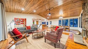 TV, fireplace, books