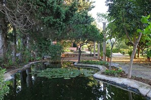 Stroll through the serene garden, surrounded by lush greenery and a tranquil pond, leading to a charming building.