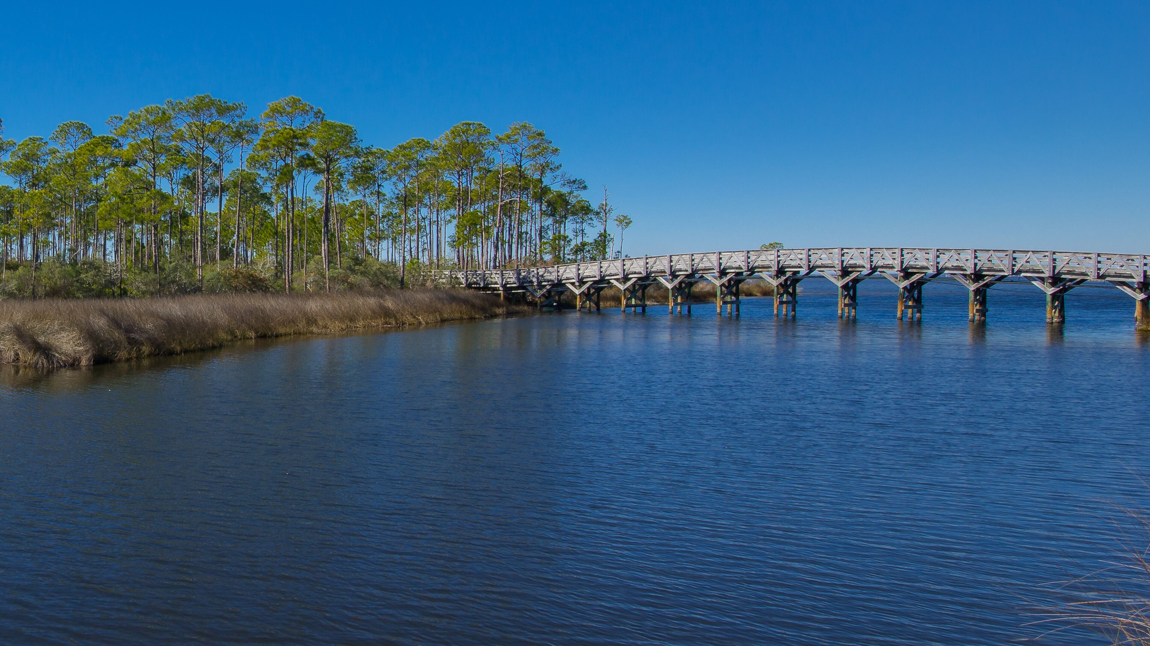 A bridge over calm water with a forested bank.