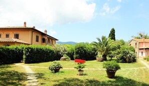 Property grounds - Apt VIOLETTA in Ancient Tuscan Farmhouse with pool, garden, near sea (Bivio di Ravi)