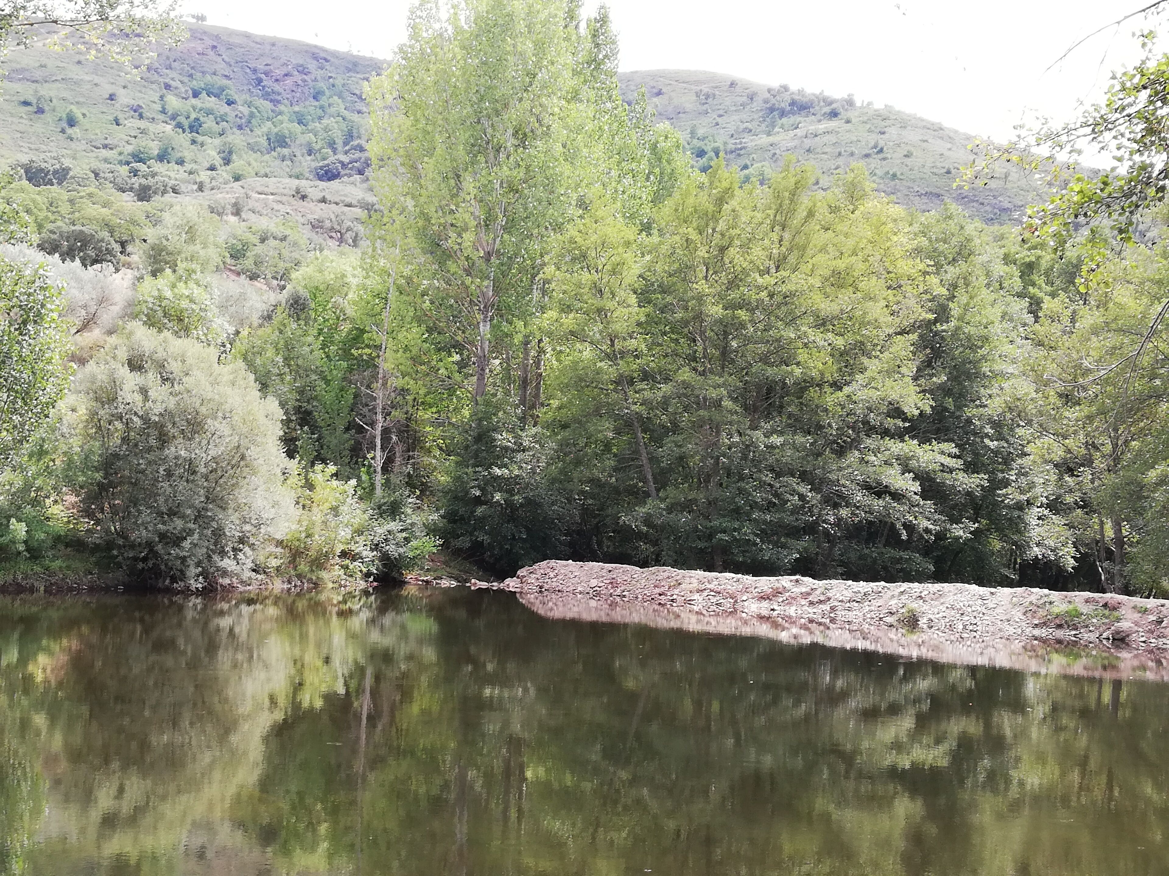 Un río tranquilo con abundante vegetación y colinas al fondo.