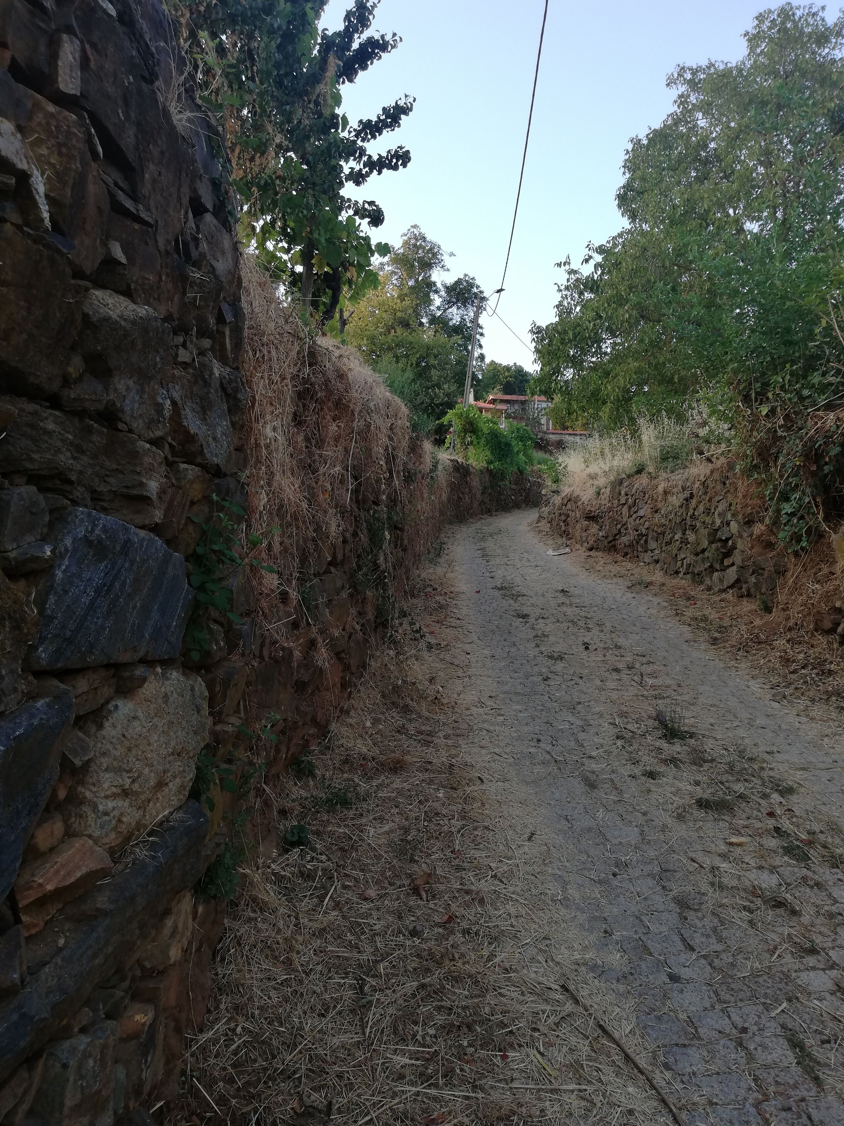 A narrow, unpaved road flanked by stone walls and vegetation.