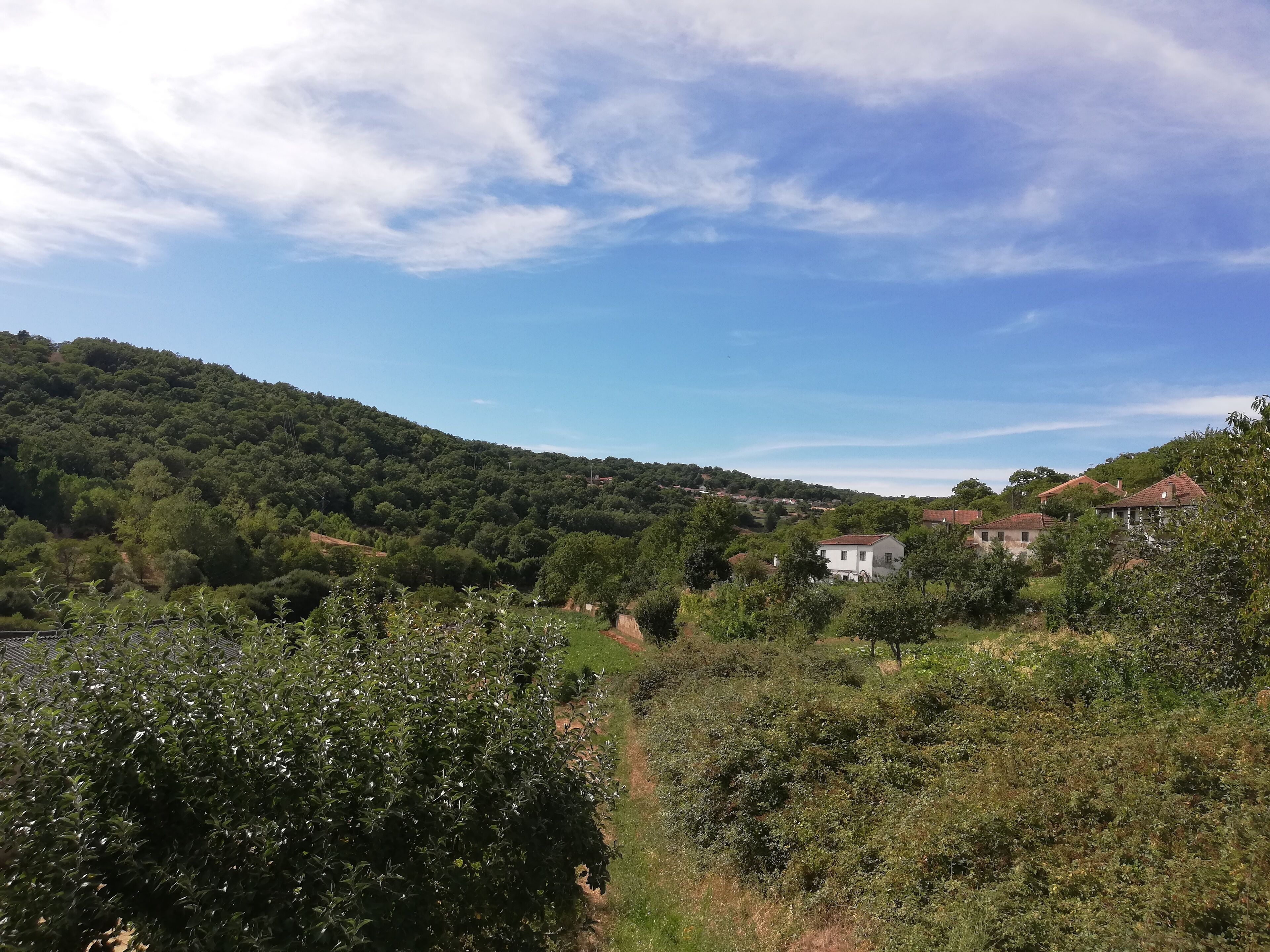 Un paysage rural avec une colline, des maisons éparses et une végétation luxuriante.