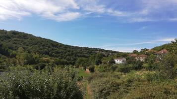 Un paysage rural avec une colline, des maisons éparses et une végétation luxuriante.