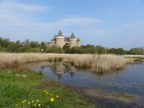 Eine Burg mit Burggraben und dichter umliegender Vegetation.