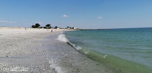 Ein Strand mit klarem Wasser, Kieselsteinen und Bäumen in der Ferne.