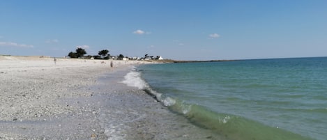 A beach with clear water, pebbles, and distant trees.