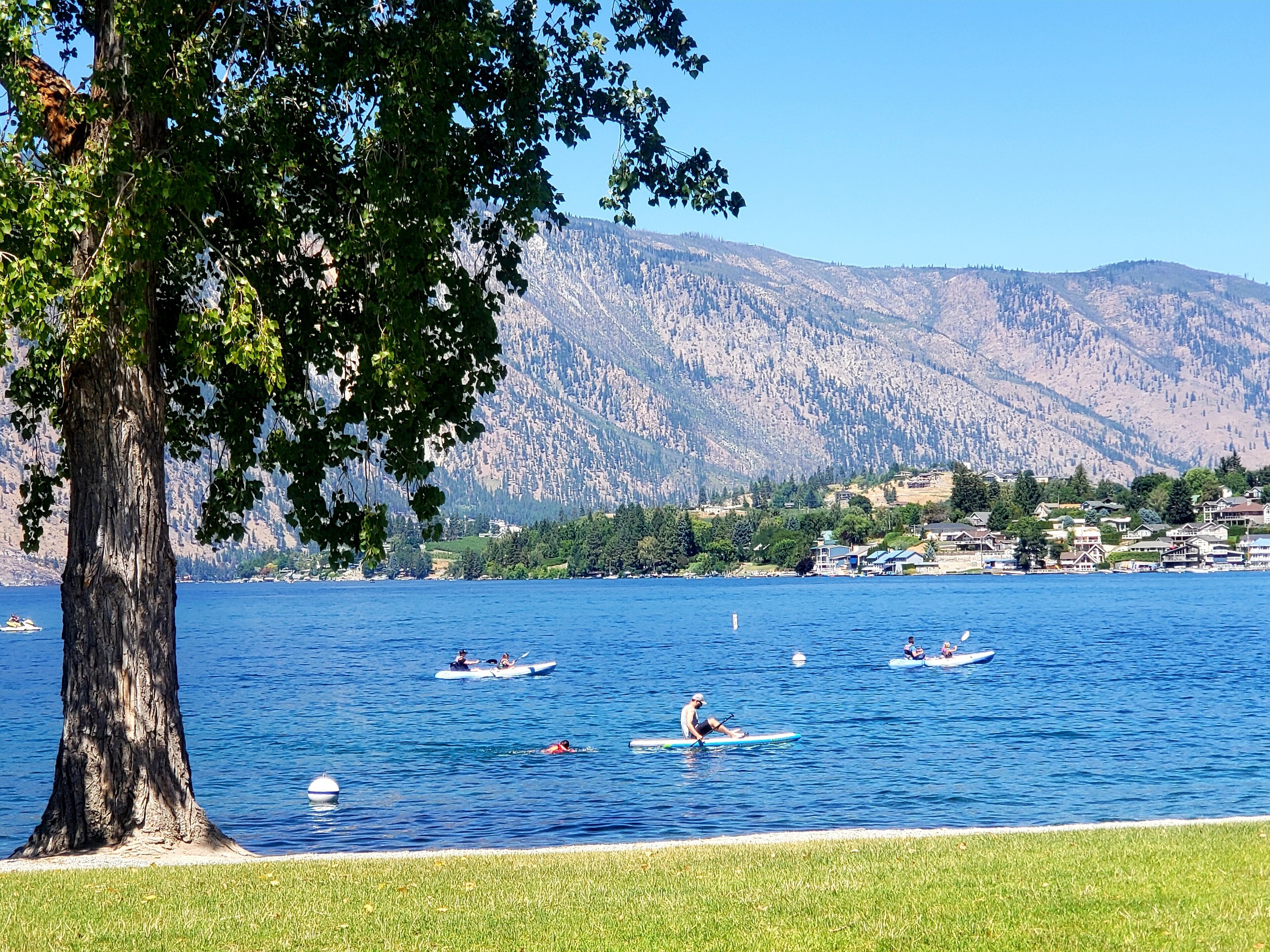 A lake with kayaks and a tree in the foreground.