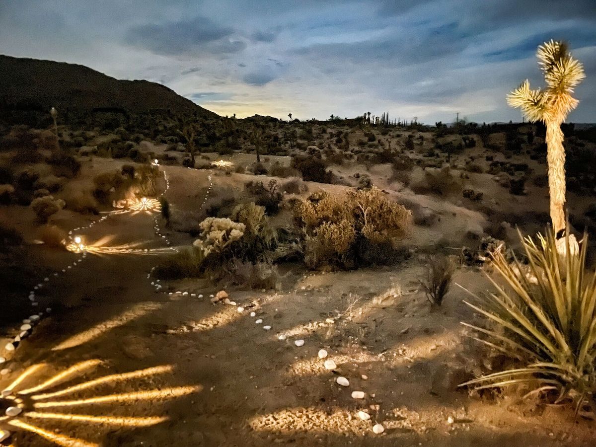 A desert landscape with a winding path, sparse vegetation, and a single tall yucca plant.
