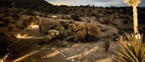 A desert landscape with a winding path, sparse vegetation, and a single tall yucca plant.