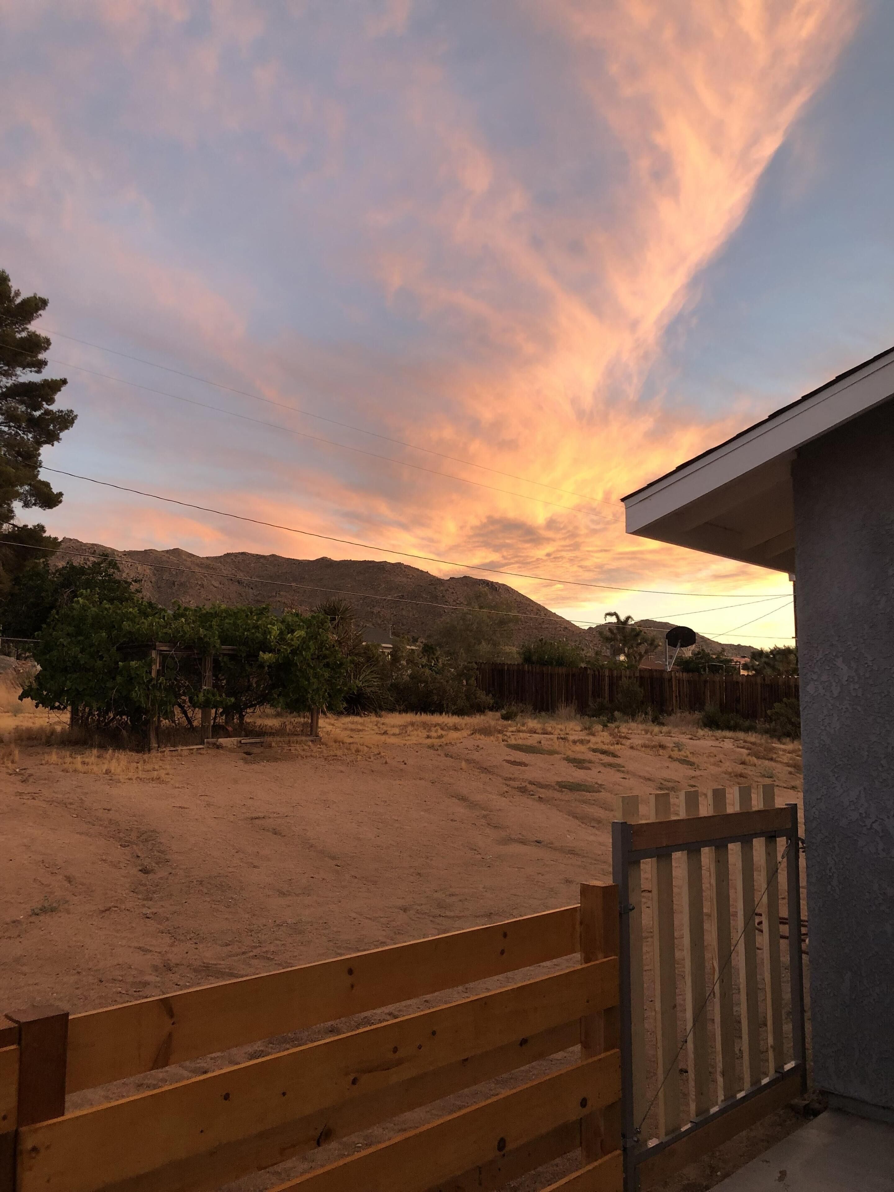 🌵Stargazers' Abbey - BBQ and Private Yard In Joshua Tree!🌵