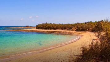 Plage, chaises longues, serviettes de plage