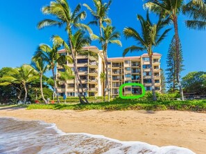 On the beach, sun loungers, beach towels