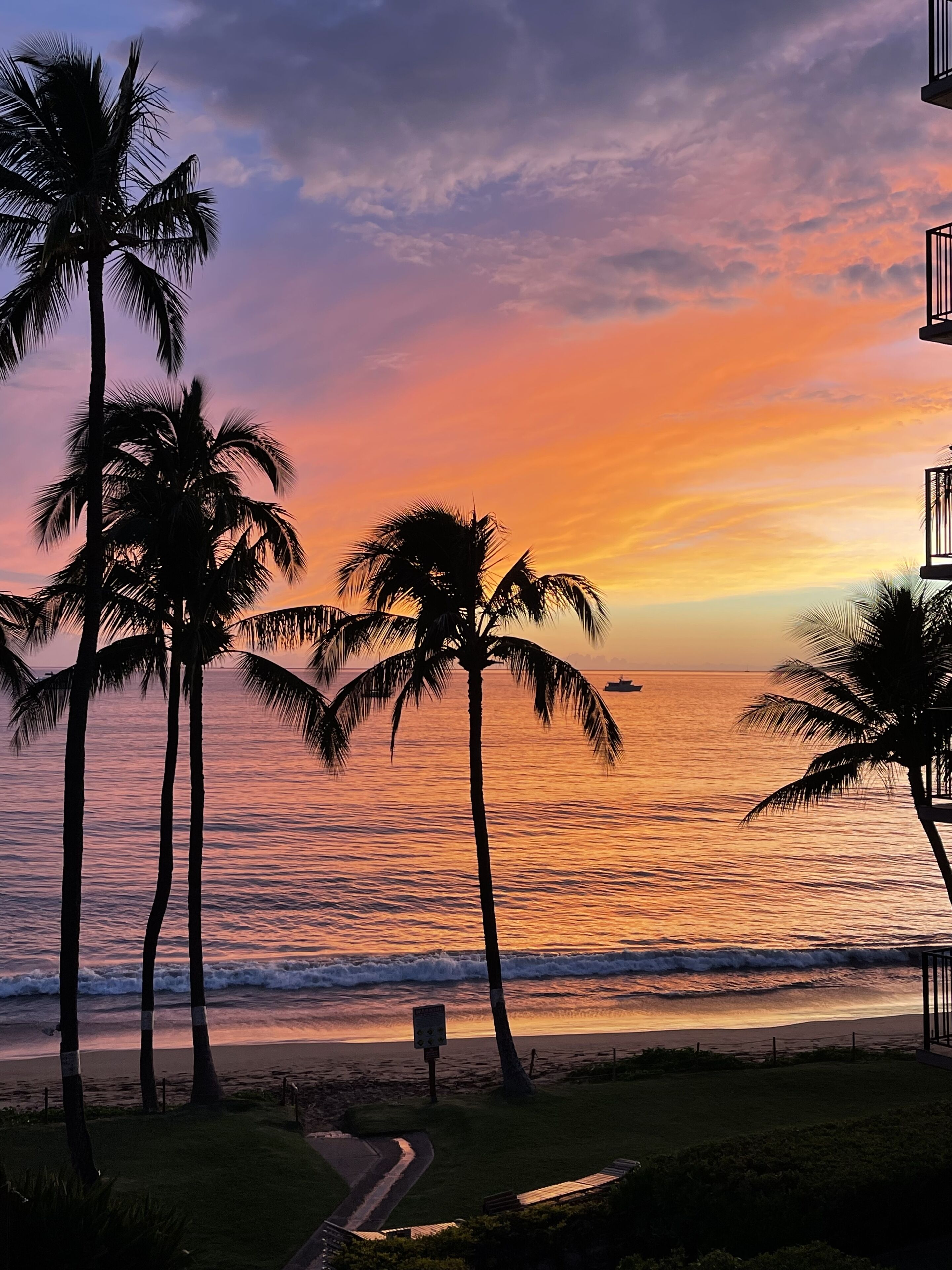 On the beach, sun-loungers, beach towels