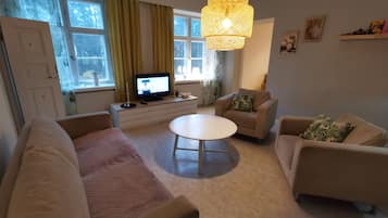 Apartment | Living room | 30-inch TV with digital channels