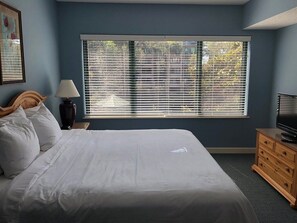 1 bedroom, iron/ironing board, WiFi, bed sheets - Hilton Head vacation resort: 2 blocks from the beach, near restaurants and golf! (Hilton Head Island)