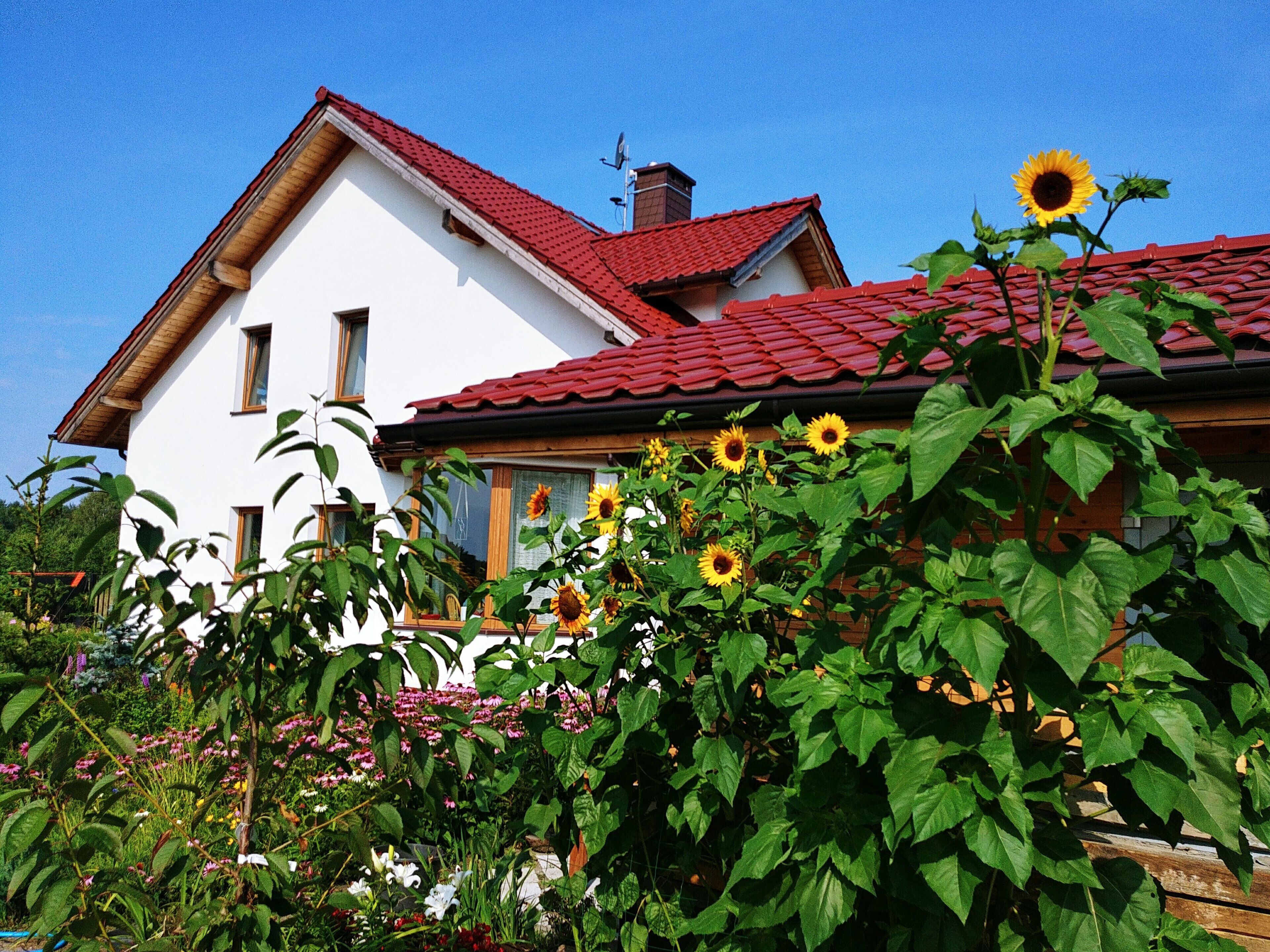 Udendørsområde