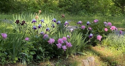 Peaceful Hillside Haven
