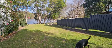 A backyard with a fenced area, a grassy lawn, and trees.