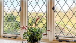 A window with a view of a garden through a diamond-patterned grille.