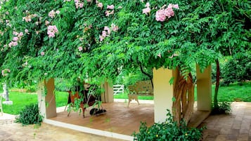 Terrazza/patio