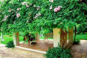 A covered patio area with a bench and skateboard, surrounded by lush greenery and flowering plants. - Lugar Perfeito Para ser Feliz (Ouro Fino)