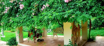 Lugar Perfeito Para ser Feliz