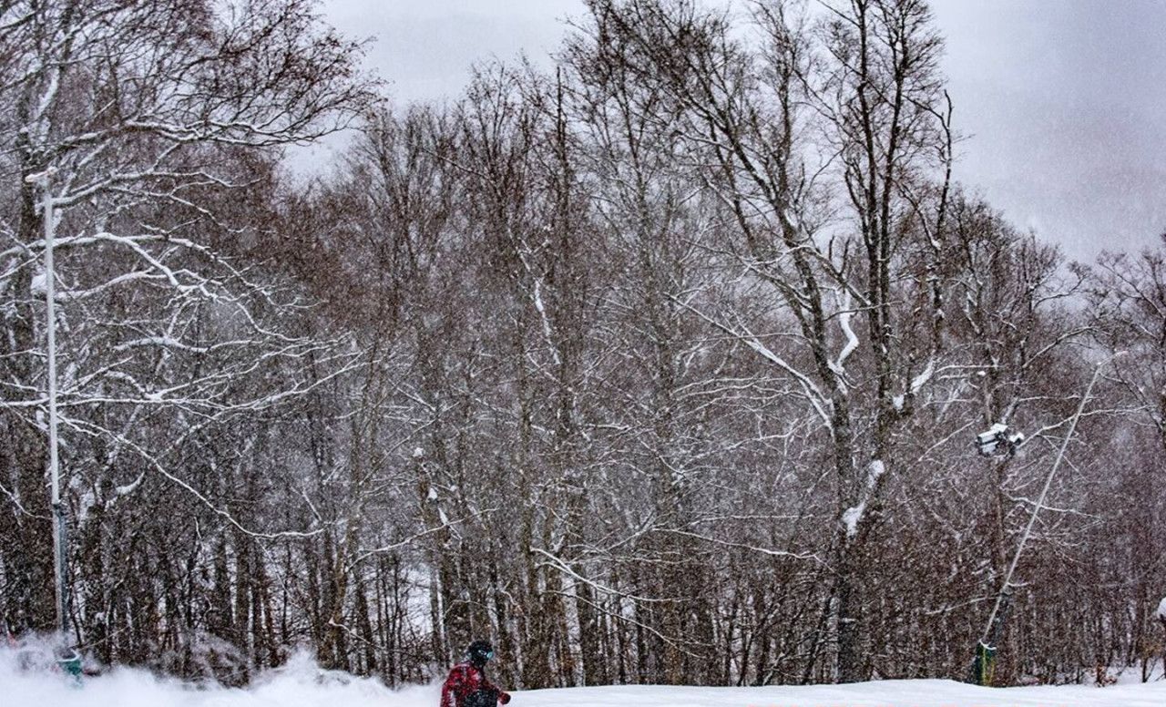 A snowy landscape with a skier.