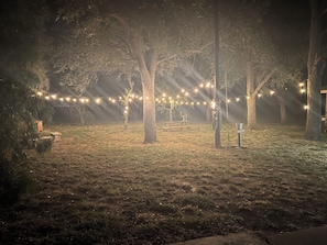Un espace extérieur aménagé pour la nuit, avec des guirlandes lumineuses, des arbres et une table de pique-nique.