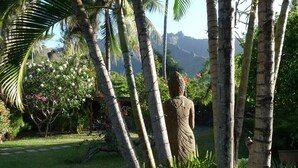 Eine Statue in einem Garten mit Palmen und einem Berg im Hintergrund.