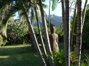 Property grounds - Junior Suite, garden side, 1 bedroom, kitchen, bathroom, lagoon (Moorea)