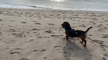 Playa en los alrededores