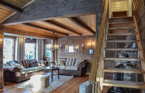 TV, fireplace, DVD player