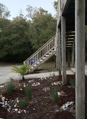 Property grounds - A private, wooded home in Emerald Isle, NC, 5th row from the beach (5 min walk) (Emerald Isle)