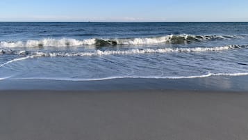 在海灘附近、躺椅