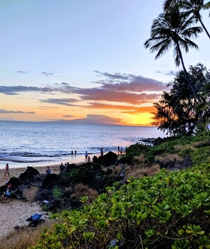 بالقرب من الشاطئ، كراسي للتشمس، مناشف للشاطئ