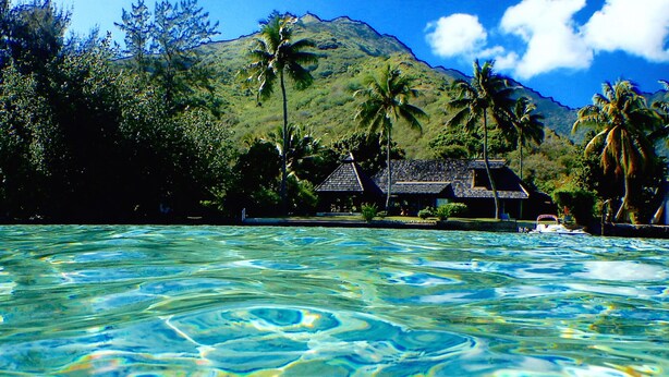 Une piscine tropicale aux eaux cristallines, avec une maison en arrière-plan.